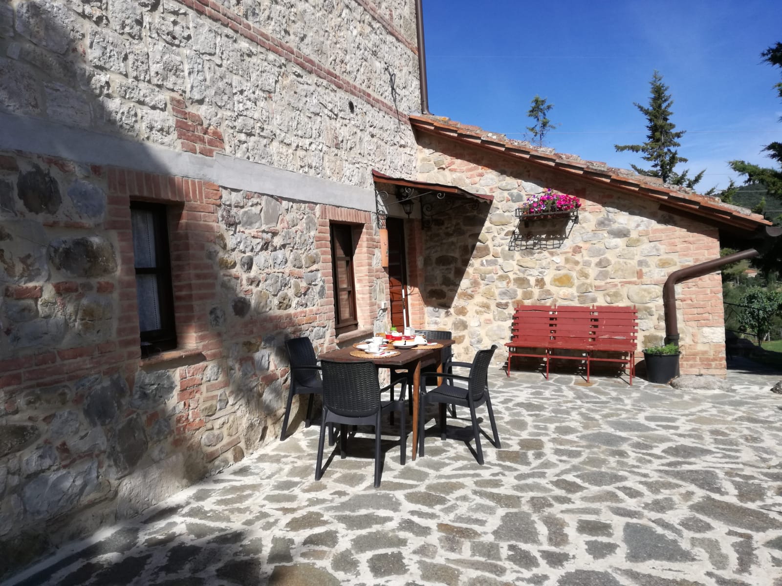 Ingresso del ciclamino